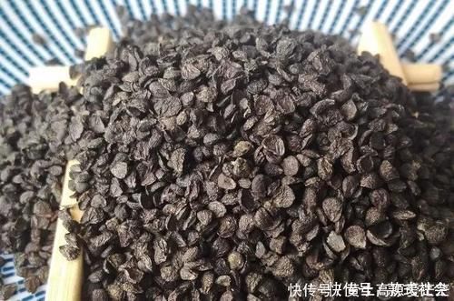 肾脏|它们公认是男人的“肾黄金”，工资再少也要经常吃，肾脏或会越来越健康