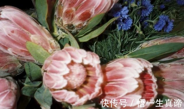 防晒 本季护肤清单就俩字儿「舒坦」!