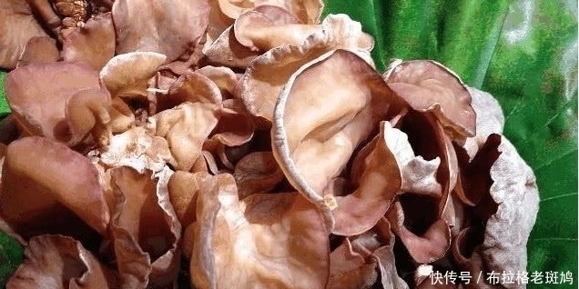 食物|血管堵塞不用慌,多吃几种“换血”食物,血管通畅更有弹性