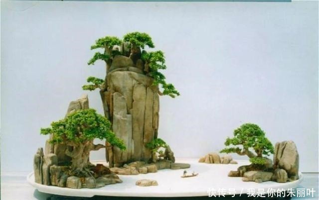 养花|大爷用石头、盘子来养花,布局造景,这就是山水盆景的魅力!