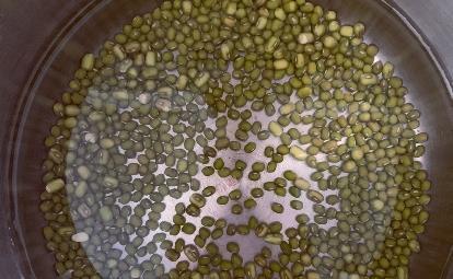 百合|煮绿豆汤时,绿豆不用泡水了,教你1招技巧,10分钟绿豆全开花