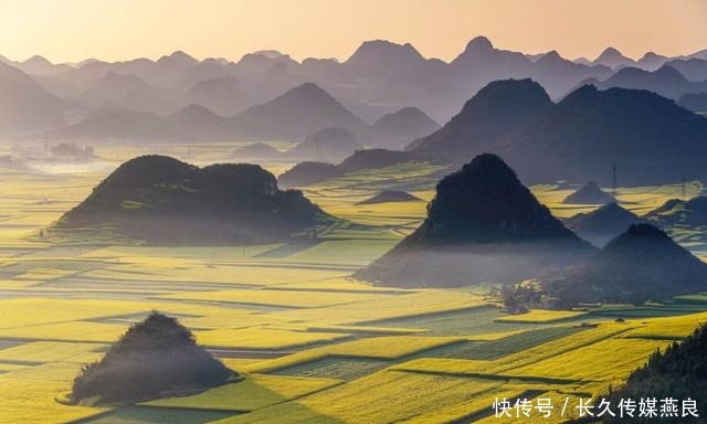 合肥|云南罗平迎来高光时刻，万亩油菜花海绽放，约吗？