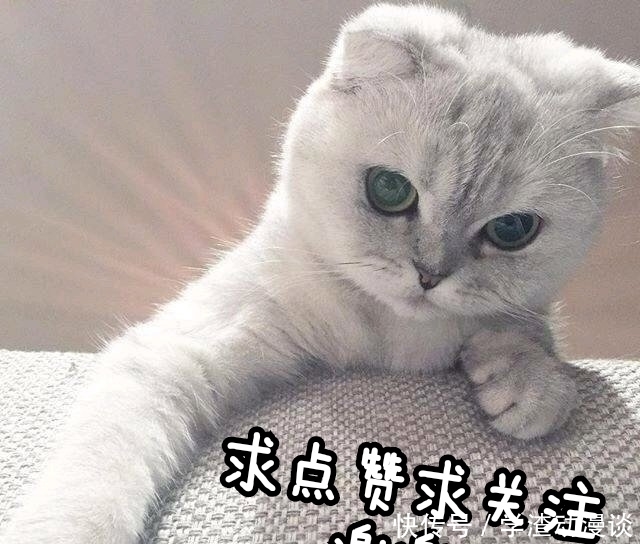 初考核得0分却让董明珠赞不绝口,北漂姑娘张安究竟有何魅力