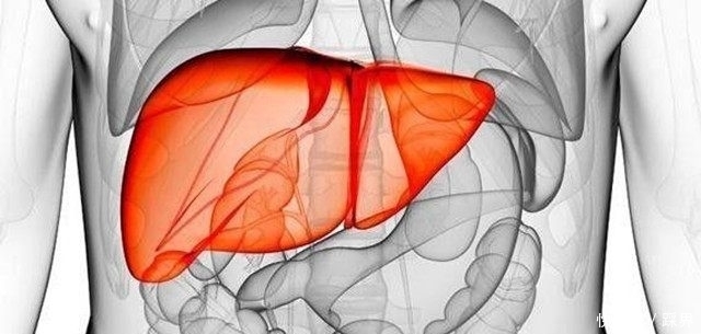 肝火过旺|这6种食物，夏天多吃点，帮助排出肝毒，预防肝病，肝脏更健康