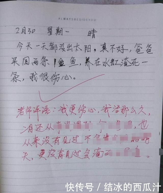 小学生日记“笑翻全场”，爸妈看不懂，老师评语表示很伤心