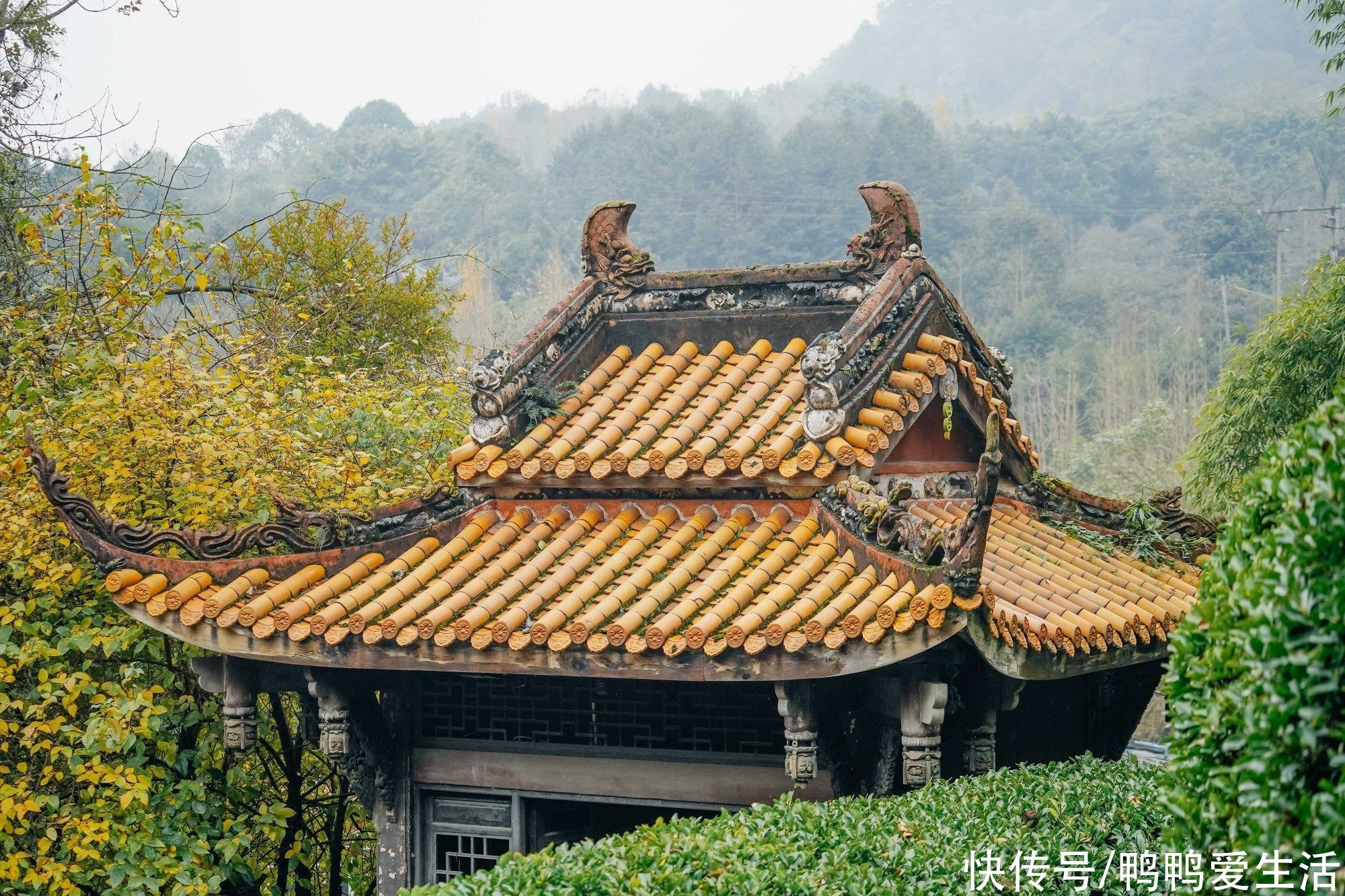 唯一|四川泸州藏一“小峨眉”，黑脸观音全国唯一，99座山峰像祭台