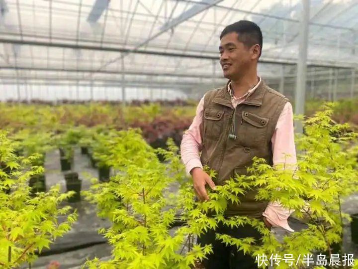 太仙了！浙江男子卖网红植物，年入百万！它在春天竟然如此美丽