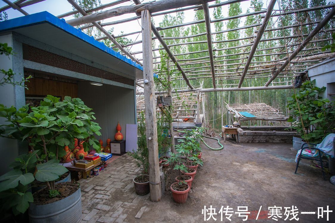 艺术品!新疆葫芦王把几块钱一个葫芦做成艺术品,卖上万元,却无人愿继承