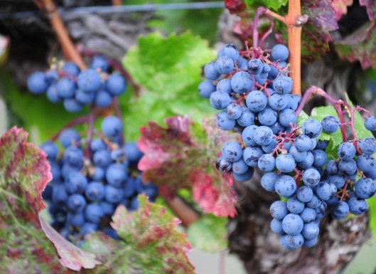 专家|失眠的“罪魁祸首”找到了!专家说坚持三件事,祝你一夜好眠!