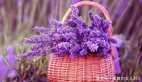 50种植物花语,不要再傻傻送错花了