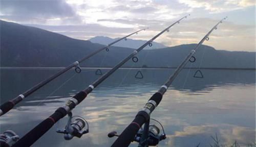 钓鱼技巧:活泥鳅钓翘嘴方法,大翘嘴一钓一个准,不信可以试试!