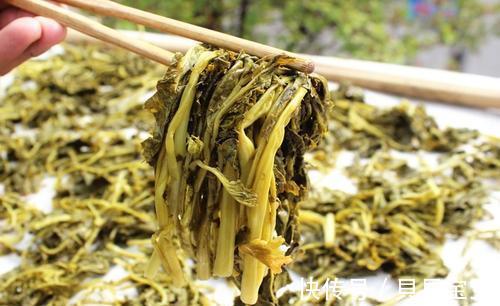 平菇 天然“除皱剂”被找到,医生提醒:坚持常吃2物,或能护肤养气色