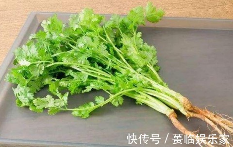 涩味|这些“怪香”食物,很多人都不喜欢,但是却含有丰富的营养