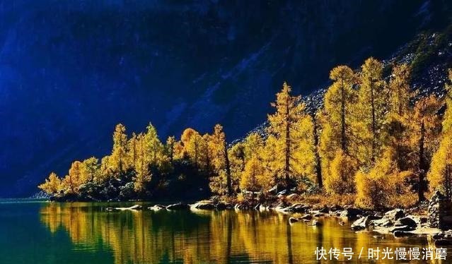 太精明的男人,格局都不大!(深度好文)