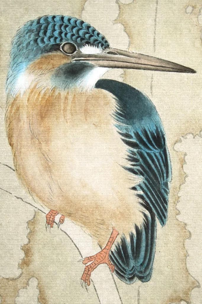  分染|龚雪青《翠鸟》设色步骤