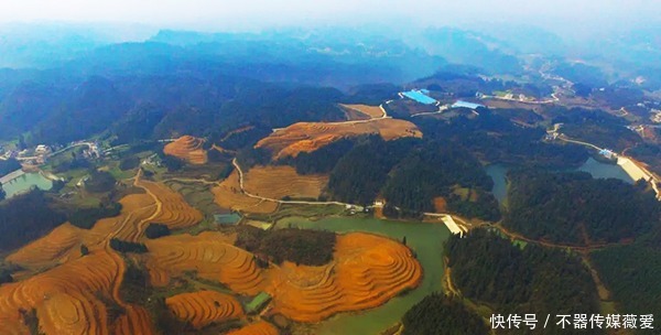 太仙了！古蔺竟然还藏着这样一片“世外茶园”