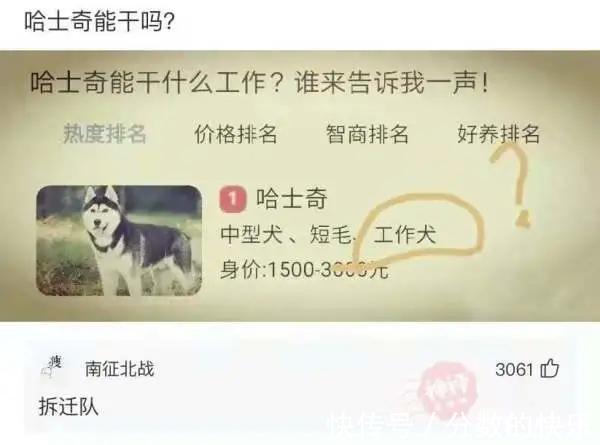 小伙|神回复：为什么精神小伙都这么瘦？最有效的减肥操是不是社会摇？