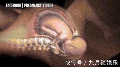 尽全力|生孩子不只孕妈痛,宝宝在腹中也“拼了”!看完全过程被暖哭