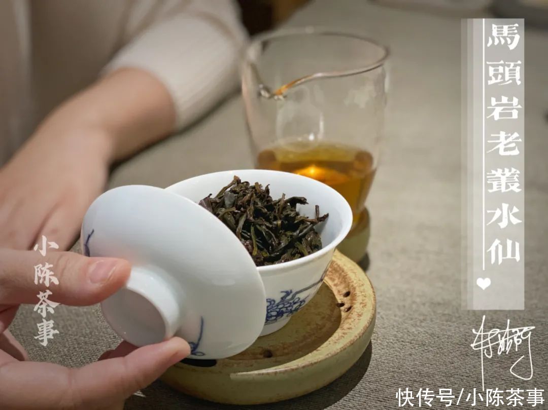 凤凰茶|凤凰单丛、凤凰水仙、岩茶水仙，从历史角度解读水仙茶叶的迁徙史
