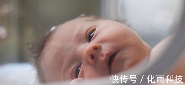 心脑血管|血型决定孩子智力高低？专家解答：妈妈是这种血型，娃会很聪明