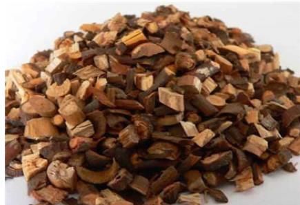 喝水|肥胖、喝水都长肉?5味中药的“小药方”,利水去湿,轻身消胖