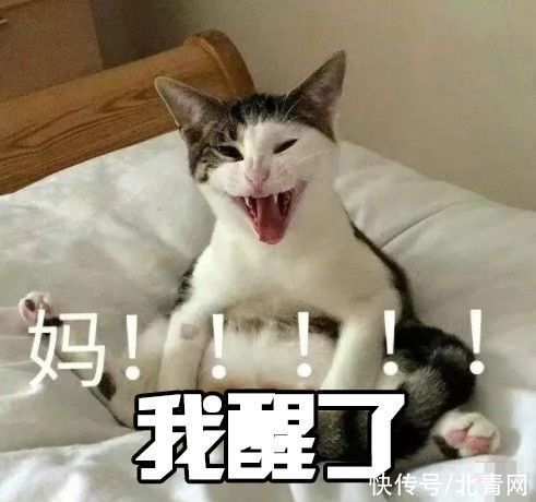 条约|别!喊!妈!了!这位妈妈直接这样做……