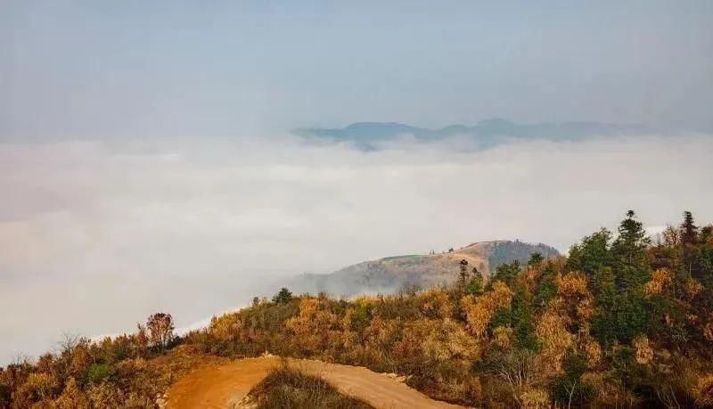 观云海奇观，赏天空美景！长沙这处云海恍如人间仙境，惊艳众人！