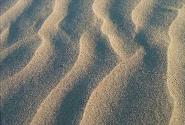 父亲|十岁女孩出去玩拍了几张照片,心理学家看到立马就联系女孩父亲!