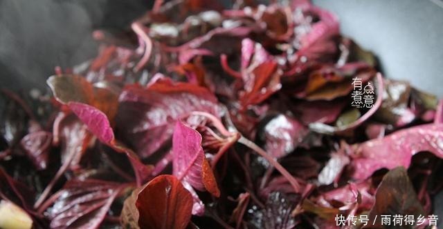 苋菜|这菜3元一斤，钙含量可与牛奶媲美，现在正当季，很多人却忽视了！