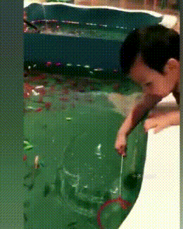 |搞笑GIF：霸气了我的姐 这辈子见过最拉风的走路姿势