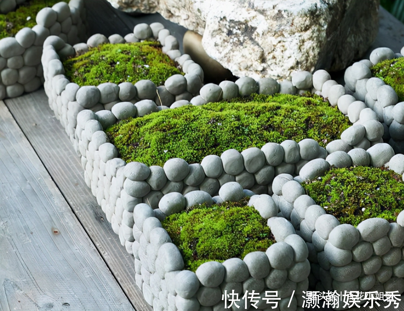 6种花盆,不适合养花,难怪长势不好,扔了吧
