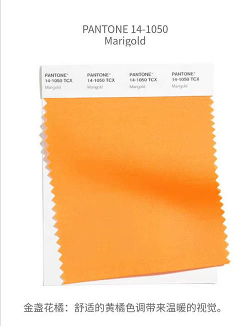 2021年最高级的4大“流行色”来了，优雅又贵气，时髦精都上瘾！