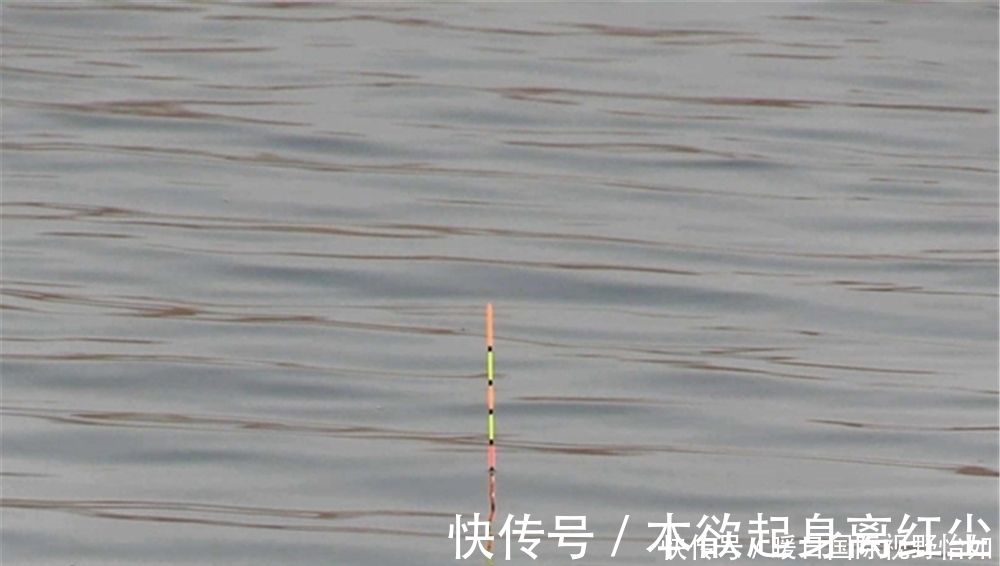 钓灵|野钓选漂和调漂经验,选漂注意吃铅大小,调漂注意钓钝才“万能”