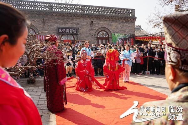 季节|洪洞大槐树景区：大槐树下春意浓 错峰出游正当时