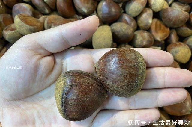 板栗|板栗买圆的还是扁的好教你4个挑选妙招,买到手的个个香甜粉糯