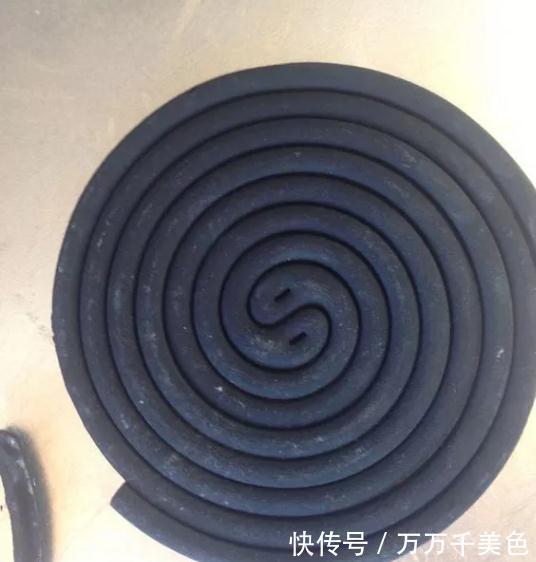 偏方|醋,蚊香,这些养花偏方,到底有没有效果