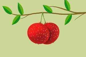 在經(jīng)期內(nèi)的女性,盡量少碰3種水果,可能會(huì)直接“停經(jīng)”