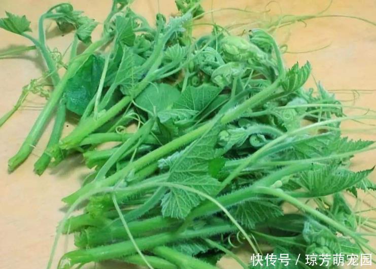放过|遇到这菜别放过,2块钱一斤,菜嫩汁甜,炒2斤都不够吃