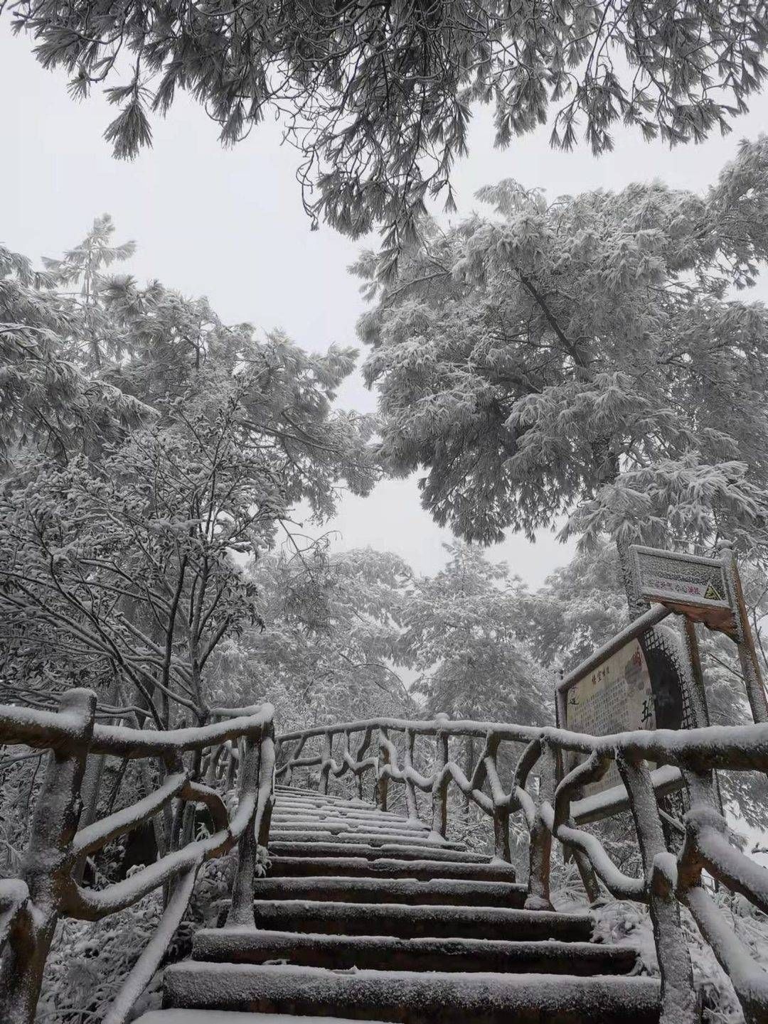 贺新年|四川广安旅游市场升温春节景区冰雪游火了一把