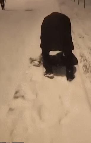 “南方人穿拖鞋到东北旅游?!”哈哈哈哈哈哈哈哈哈