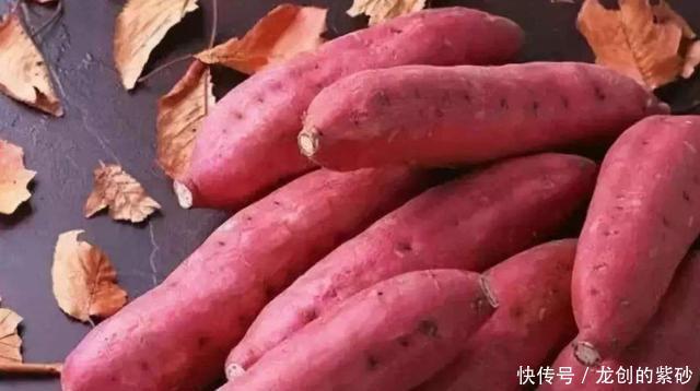 不烂不|保存红薯小技巧,学会1招,红薯放半年不烂不长芽,越放越甜