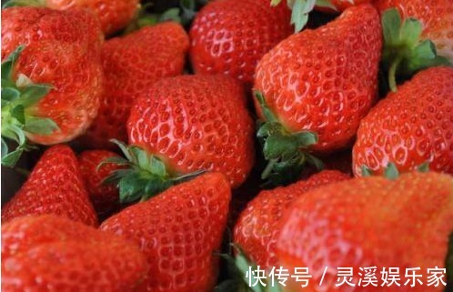 讲解|专家讲解常吃此水果,能预防老年痴呆、防止头发脱落