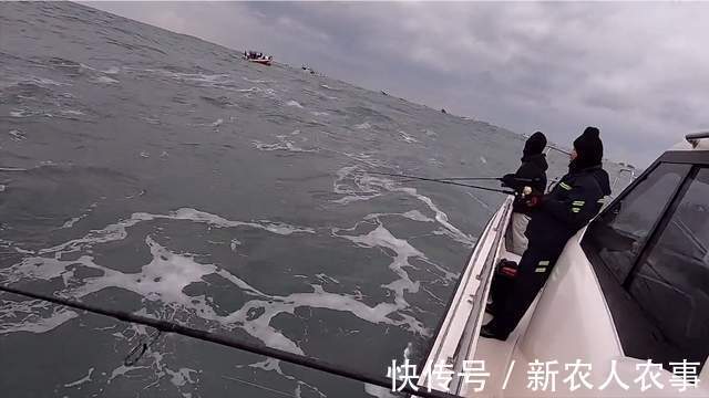 浙江4名男子驾船3小时去海钓,收获了17条大黄鱼,总价值4.4万元