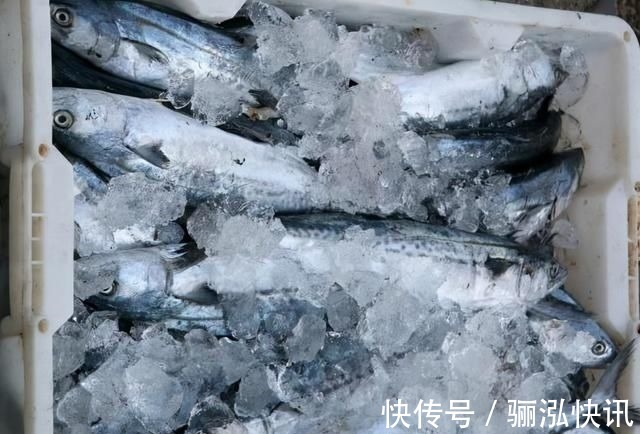 含“寄生虫”最多的3种鱼，没营养还难吃，鱼贩子宁愿丢掉也不吃