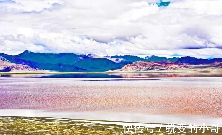 水力$雪化方懂云水力,春归自醉杨柳风