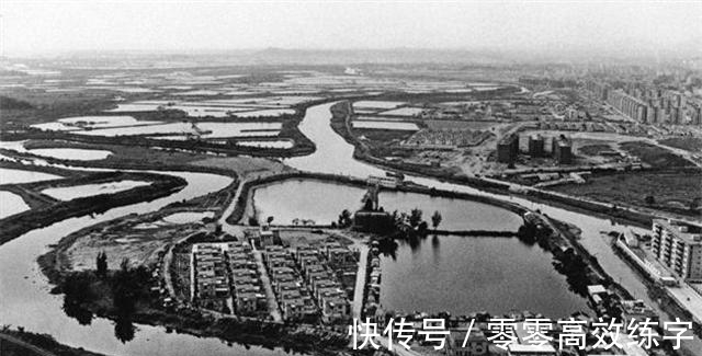 金蛋|1980年,小伙花525万元买下深圳第一片土地,现在他怎样了?