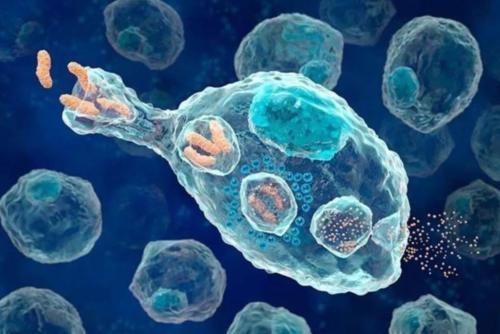 肝硬化|从炎症到“癌变”,一般需要多久?这3种炎症,请尽早治疗