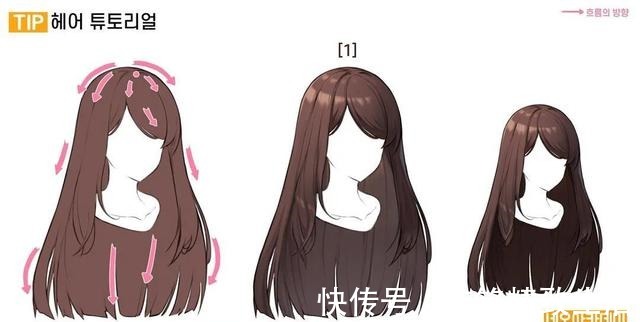 绘画 「绘画素材」多种人物发型画法参考!告别呆板发型~!