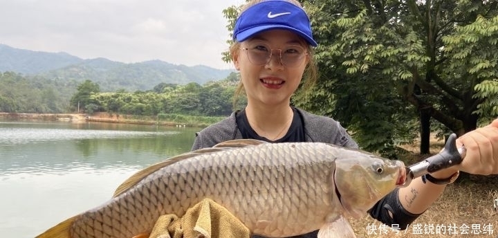 垂钓|初夏钓鲤鱼的技巧,从钓位到窝料,还有饵料味型详解!