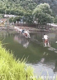 |搞笑GIF:为什么看到他摔倒,心里会莫名地舒爽呢